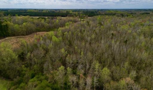 Photo #22 of Off Atkinson Road, Fairmont, NC 26.4 acres