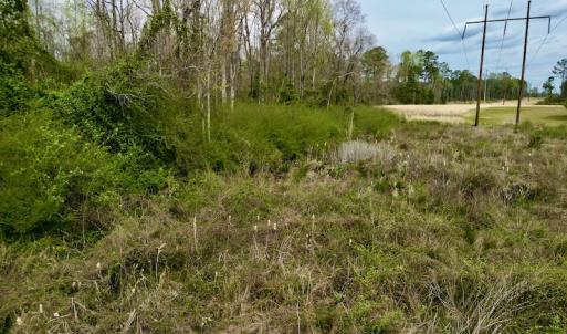 Photo #26 of Off Atkinson Road, Fairmont, NC 26.4 acres