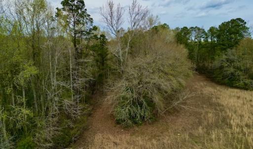 Photo #27 of Off Atkinson Road, Fairmont, NC 26.4 acres