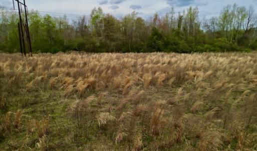 Photo #31 of Off Atkinson Road, Fairmont, NC 26.4 acres