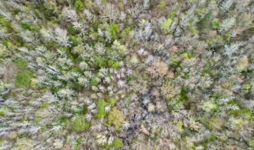 Photo #35 of Off Atkinson Road, Fairmont, NC 26.4 acres