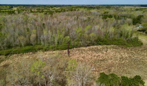 Photo #7 of Off Atkinson Road, Fairmont, NC 26.4 acres