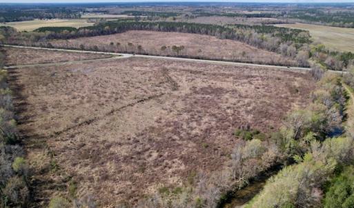 Photo #11 of SOLD property in Off Highway 903 North , Stokes, NC 37.5 acres