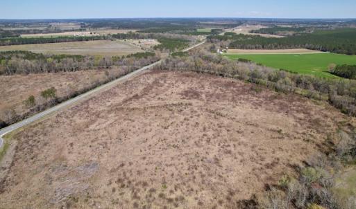 Photo #13 of SOLD property in Off Highway 903 North , Stokes, NC 37.5 acres