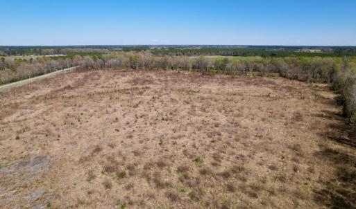 Photo #15 of SOLD property in Off Highway 903 North , Stokes, NC 37.5 acres