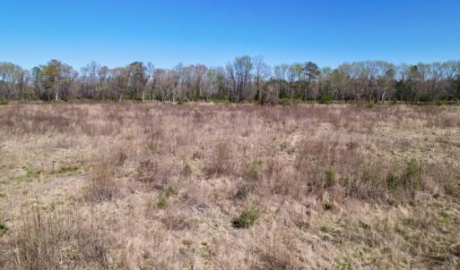 Photo #17 of SOLD property in Off Highway 903 North , Stokes, NC 37.5 acres