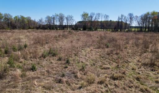 Photo #18 of SOLD property in Off Highway 903 North , Stokes, NC 37.5 acres