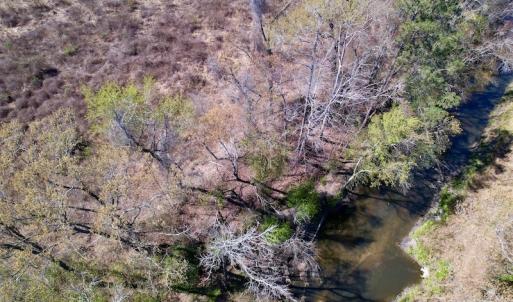 Photo #19 of SOLD property in Off Highway 903 North , Stokes, NC 37.5 acres