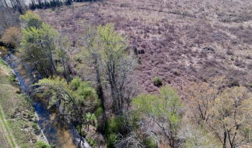Photo #21 of SOLD property in Off Highway 903 North , Stokes, NC 37.5 acres