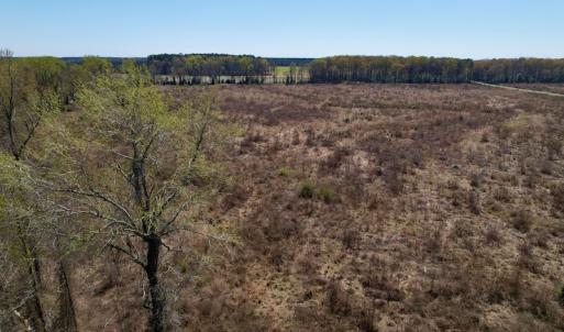 Photo #23 of SOLD property in Off Highway 903 North , Stokes, NC 37.5 acres