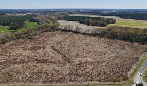 Photo #6 of SOLD property in Off Highway 903 North , Stokes, NC 37.5 acres