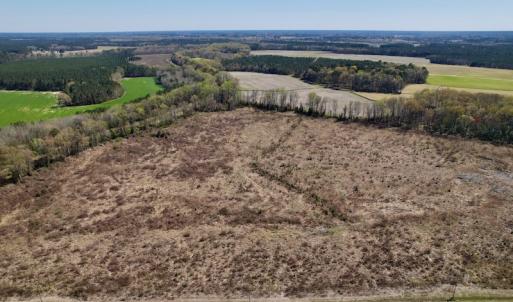 Photo #7 of SOLD property in Off Highway 903 North , Stokes, NC 37.5 acres