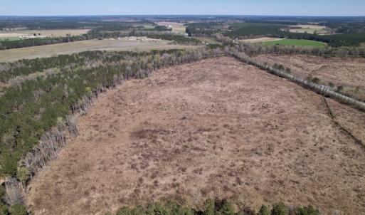 Photo #12 of SOLD property in Off Highway 903 North, Stokes, NC 57.6 acres