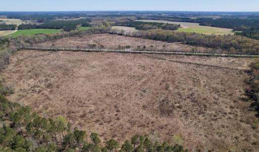 Photo #14 of SOLD property in Off Highway 903 North, Stokes, NC 57.6 acres