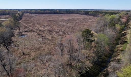 Photo #21 of SOLD property in Off Highway 903 North, Stokes, NC 57.6 acres