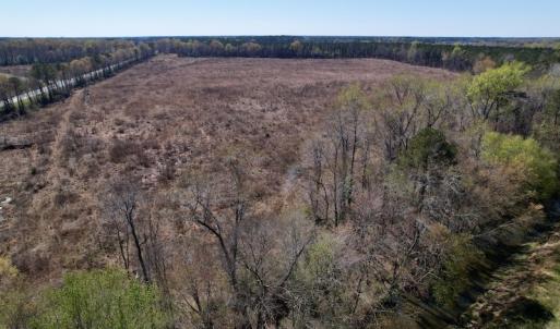 Photo #22 of SOLD property in Off Highway 903 North, Stokes, NC 57.6 acres
