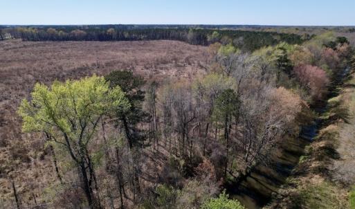 Photo #23 of SOLD property in Off Highway 903 North, Stokes, NC 57.6 acres