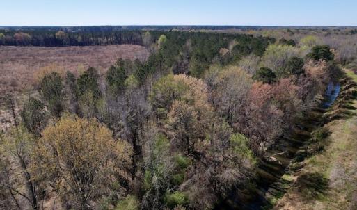 Photo #24 of SOLD property in Off Highway 903 North, Stokes, NC 57.6 acres