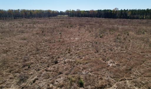 Photo #25 of SOLD property in Off Highway 903 North, Stokes, NC 57.6 acres