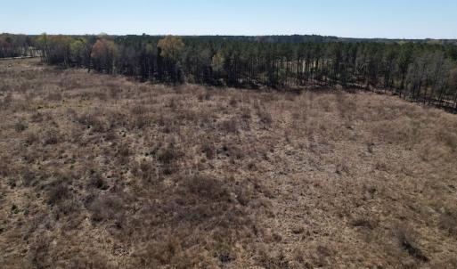Photo #26 of SOLD property in Off Highway 903 North, Stokes, NC 57.6 acres