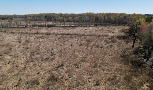 Photo #27 of SOLD property in Off Highway 903 North, Stokes, NC 57.6 acres