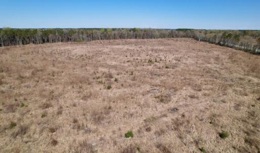 Photo #28 of SOLD property in Off Highway 903 North, Stokes, NC 57.6 acres