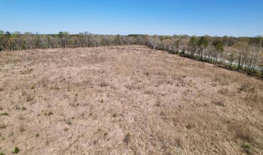 Photo #29 of SOLD property in Off Highway 903 North, Stokes, NC 57.6 acres