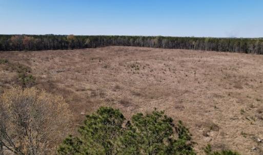 Photo #30 of SOLD property in Off Highway 903 North, Stokes, NC 57.6 acres