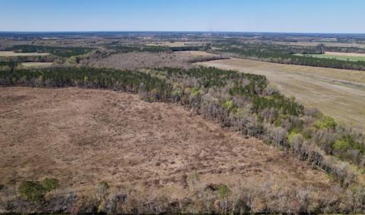 Photo #4 of SOLD property in Off Highway 903 North, Stokes, NC 57.6 acres
