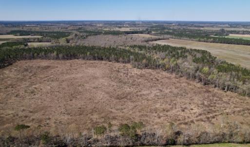 Photo #5 of SOLD property in Off Highway 903 North, Stokes, NC 57.6 acres
