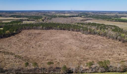 Photo #6 of SOLD property in Off Highway 903 North, Stokes, NC 57.6 acres