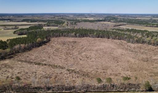 Photo #7 of SOLD property in Off Highway 903 North, Stokes, NC 57.6 acres