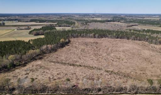 Photo #8 of SOLD property in Off Highway 903 North, Stokes, NC 57.6 acres