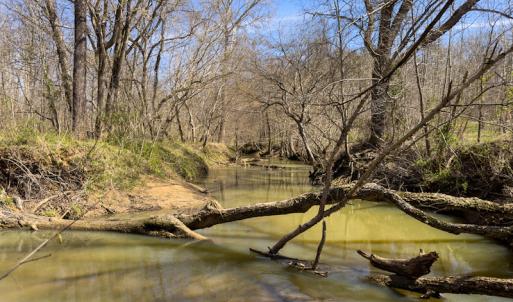 Photo #10 of SOLD property in Off of State Road 1580, Leasburg, NC 22.9 acres