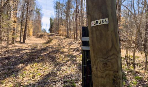 Photo #13 of SOLD property in Off of State Road 1580, Leasburg, NC 22.9 acres