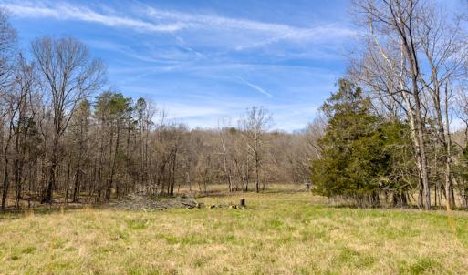 Photo #16 of SOLD property in Off of State Road 1580, Leasburg, NC 22.9 acres