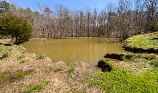 Photo #17 of SOLD property in Off of State Road 1580, Leasburg, NC 22.9 acres