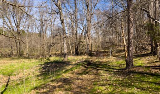 Photo #18 of SOLD property in Off of State Road 1580, Leasburg, NC 22.9 acres