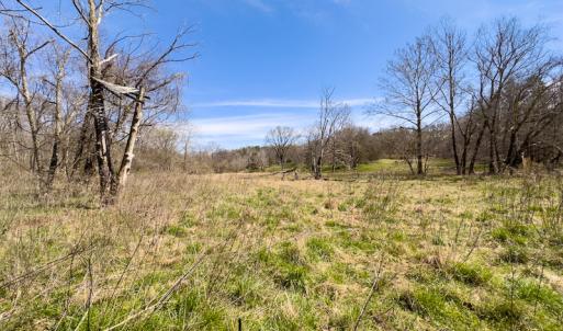 Photo #19 of SOLD property in Off of State Road 1580, Leasburg, NC 22.9 acres