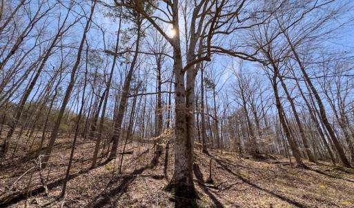 Photo #20 of SOLD property in Off of State Road 1580, Leasburg, NC 22.9 acres