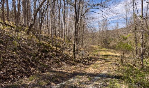 Photo #21 of SOLD property in Off of State Road 1580, Leasburg, NC 22.9 acres