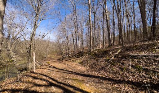 Photo #24 of SOLD property in Off of State Road 1580, Leasburg, NC 22.9 acres