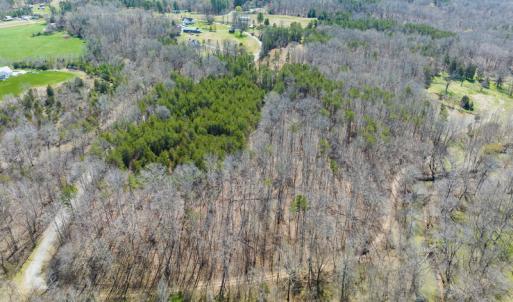 Photo #28 of SOLD property in Off of State Road 1580, Leasburg, NC 22.9 acres