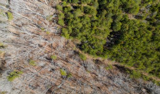 Photo #33 of SOLD property in Off of State Road 1580, Leasburg, NC 22.9 acres