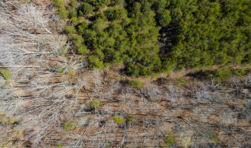 Photo #35 of SOLD property in Off of State Road 1580, Leasburg, NC 22.9 acres