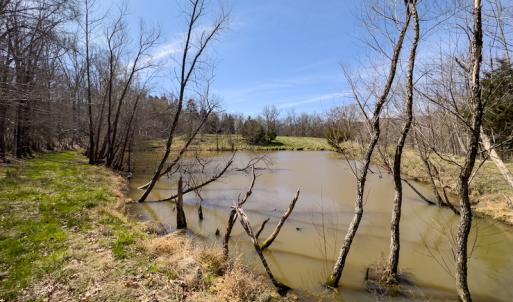 Photo #3 of SOLD property in Off of State Road 1580, Leasburg, NC 22.9 acres