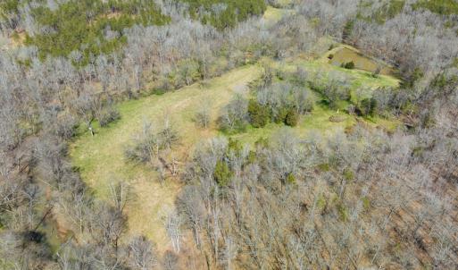Photo #41 of SOLD property in Off of State Road 1580, Leasburg, NC 22.9 acres
