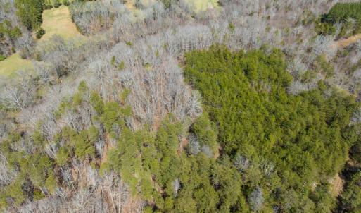 Photo #45 of SOLD property in Off of State Road 1580, Leasburg, NC 22.9 acres