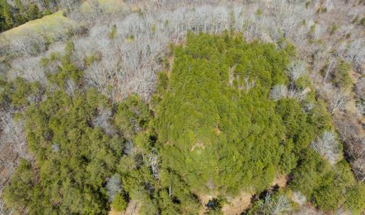 Photo #46 of SOLD property in Off of State Road 1580, Leasburg, NC 22.9 acres