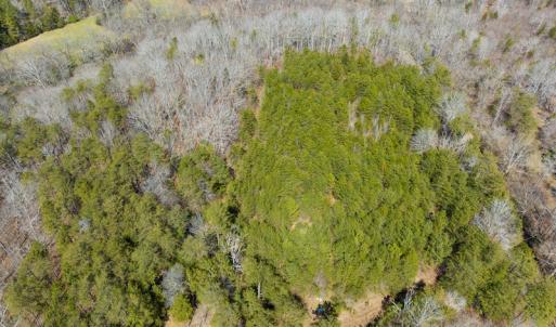 Photo #46 of SOLD property in Off of State Road 1580, Leasburg, NC 22.9 acres